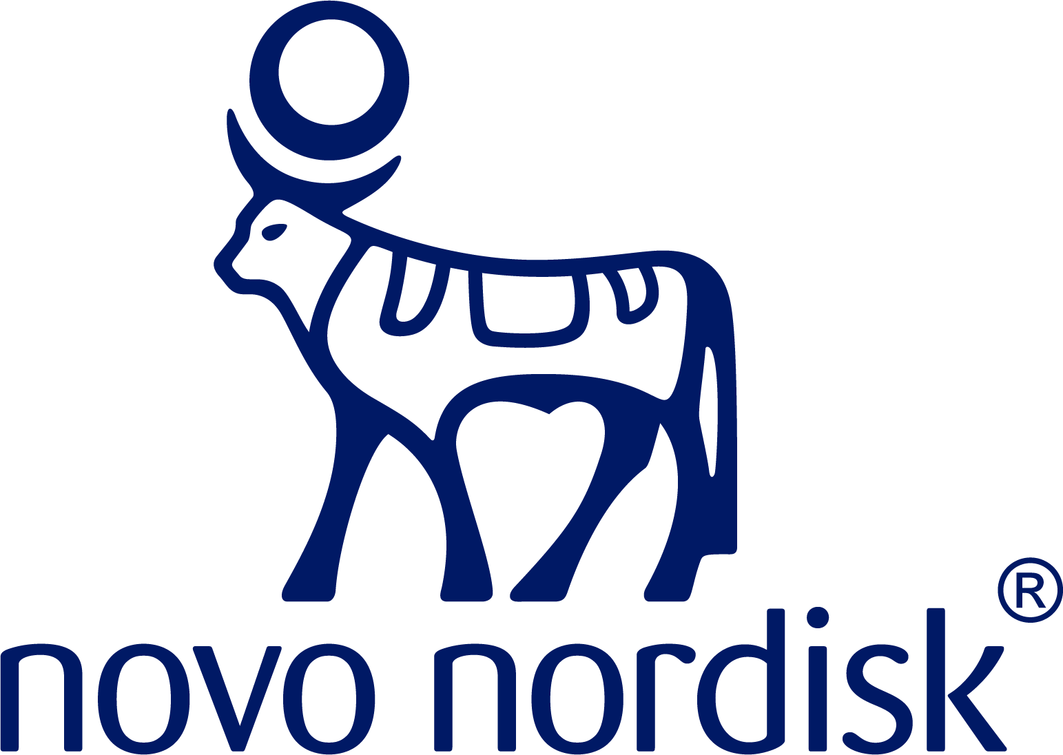 nn_logo